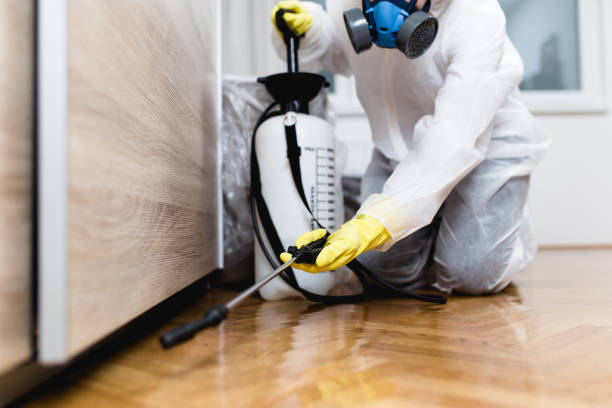 Best Best Pest Control Companies  in Madison, FL