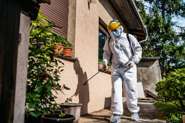 Best Rat Extermination Near Me  in Madison, FL
