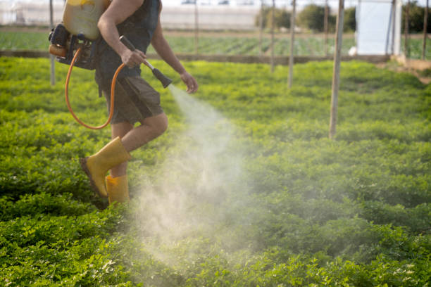 Best Pest Removal Services  in Madison, FL
